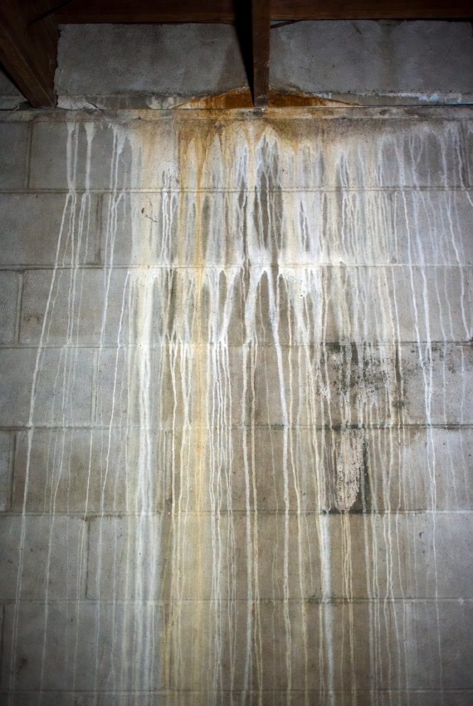 Mold info Moisture in basement wall