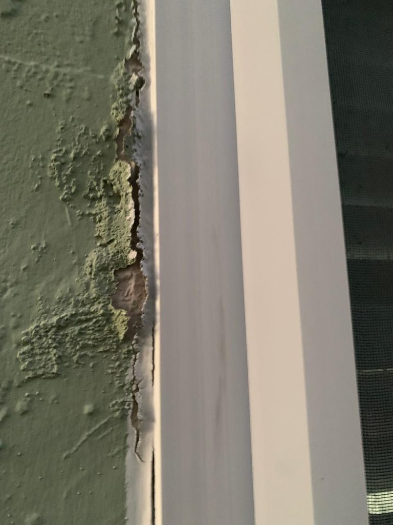 Mold info Grok Image 41c36a0f 417b 45e9 A4a0 A7160af26338 768x1024